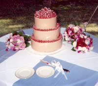 Chocolate Raspberry Wedding Cake